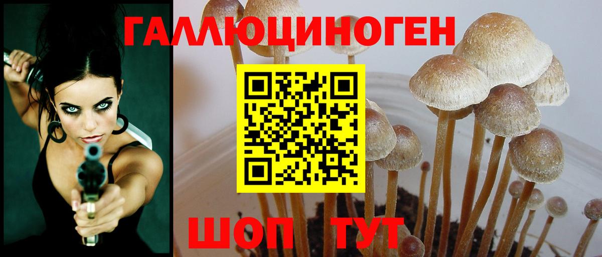 Майский  Псилоцибиновые грибы мицелий  Вход с VPN 